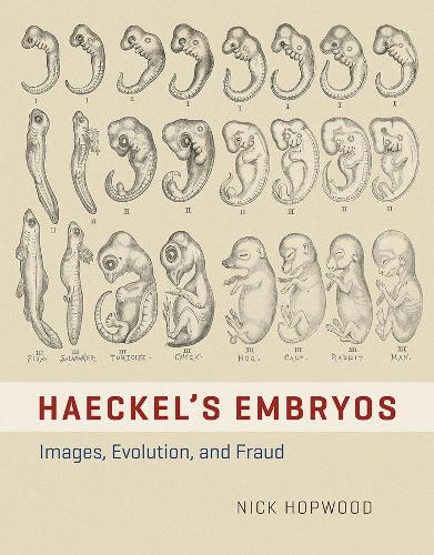 Haeckel's Embryos: Images, Evolution, and Fraud (Hardback)