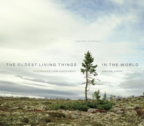 The Oldest Living Things in the World (Hardback)