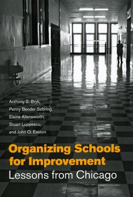 Organizing Schools for Improvement (Paperback)