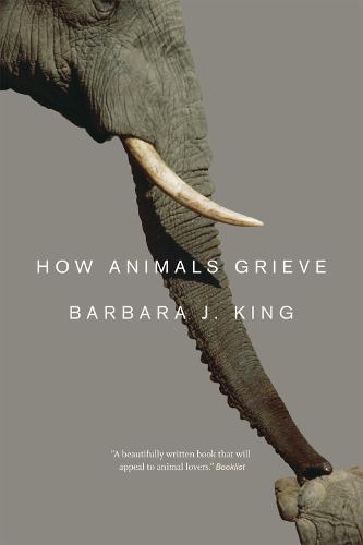 How Animals Grieve (Paperback)