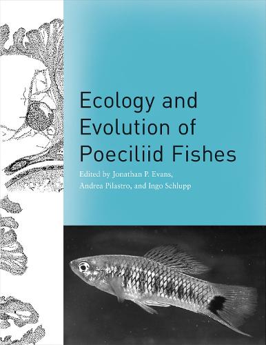 Ecology and Evolution of Poeciliid Fishes (Hardback)
