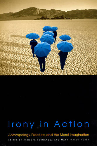 Irony in Action: Anthropology, Practice and the Moral Imagination (Paperback)
