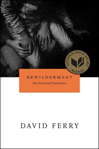 Bewilderment: New Poems and Translations (Paperback)