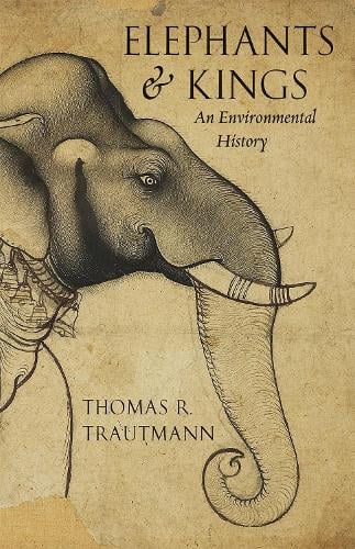 Bestiality and Zoophilia: v. 18 by Anthony L. Podberscek, Andrea M