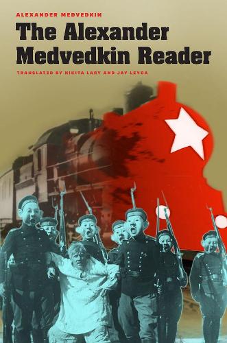 The Alexander Medvedkin Reader - Cinema and Modernity (Hardback)