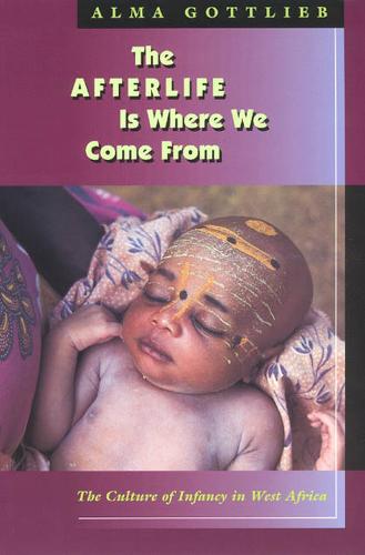 The Afterlife Is Where We Come From (Paperback)