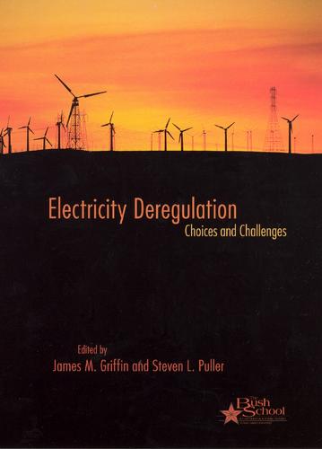 Electricity Deregulation: Choices and Challenges (Hardback)