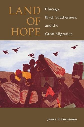 Land of Hope: Chicago, Black Southerners and the Great Migration (Paperback)