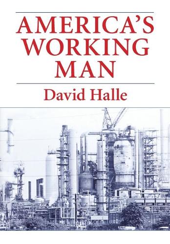 America's Working Man: Work, Home and Politics Among Blue-collar Property Owners (Paperback)