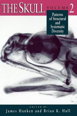 The Skull: Patterns of Structural and Systematic Diversity v. 2 (Paperback)