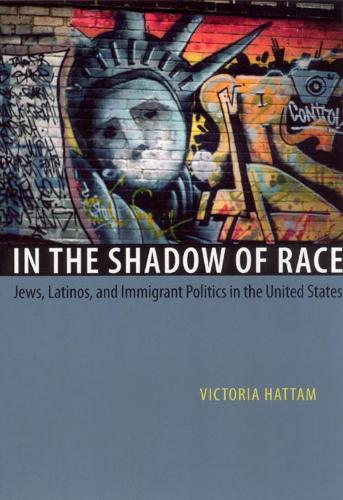 In the Shadow of Race (Paperback)