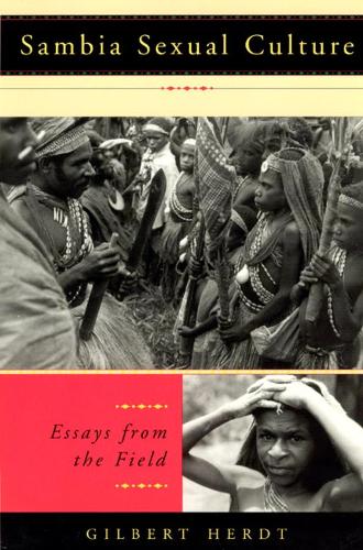 Sambia Sexual Culture: Essays from the Field - Worlds of Desire (Hardback)