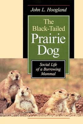 The Black-tailed Prairie Dog: Social Life of a Burrowing Mammal - Wildlife Behaviour & Ecology S. (Paperback)