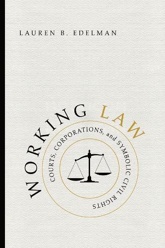 Working Law: Courts, Corporations, and Symbolic Civil Rights - Chicago Series in Law and Society (Paperback)
