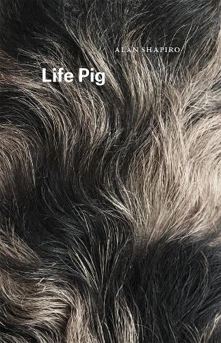 Life Pig - Phoenix Poets (Paperback)