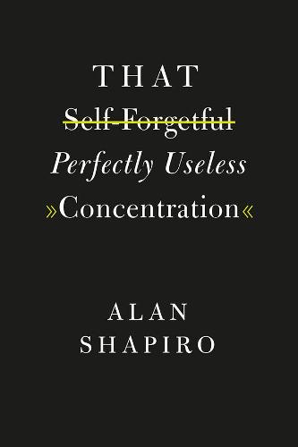 That Self-Forgetful Perfectly Useless Concentration (Hardback)