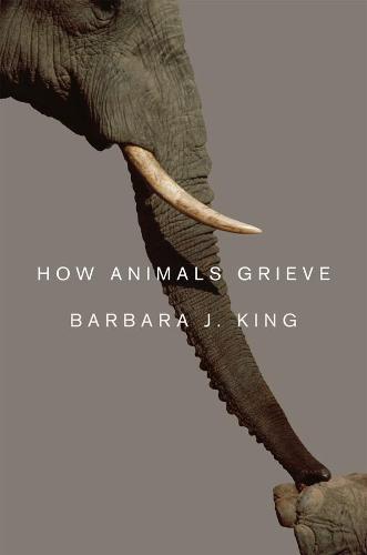 How Animals Grieve (Hardback)