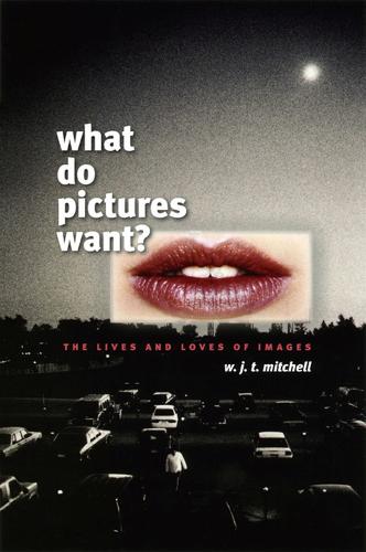 What Do Pictures Want? (Paperback)