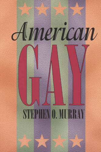 American Gay - Worlds of Desire S. (Paperback)