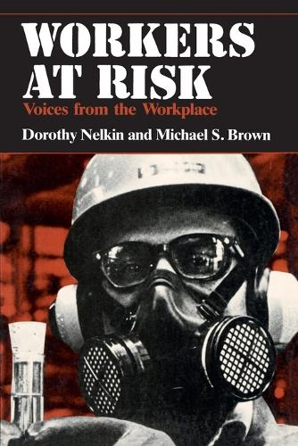Workers at Risk: Voices from the Workplace (Paperback)