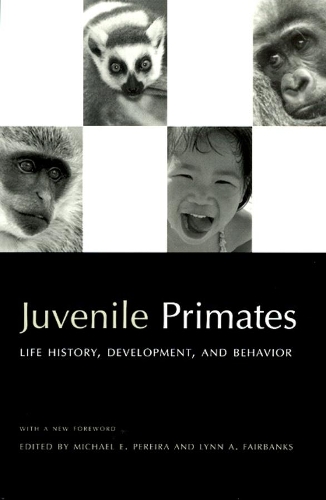 Juvenile Primates (Paperback)