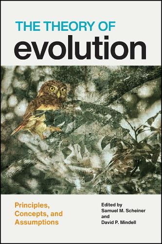 The Theory of Evolution: Principles, Concepts, and Assumptions (Paperback)