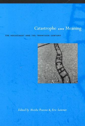 Catastrophe and Meaning: The Holocaust and the Twentieth Century (Hardback)