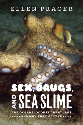 Sex, Drugs, and Sea Slime: The Oceans' Oddest Creatures and Why They Matter (Hardback)