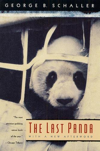 The Last Panda (Hardback)