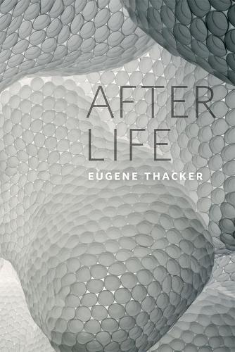 After Life (Hardback)