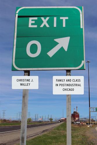 Exit Zero: Family and Class in Postindustrial Chicago (Paperback)
