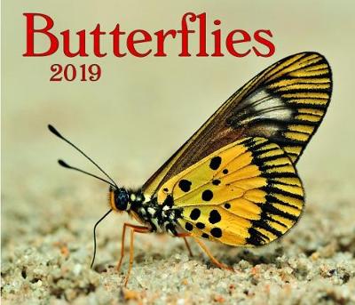 Butterflies 2019 (Calendar)