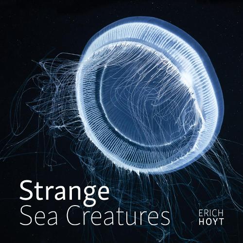Erich Hoyt Strange Sea Creatures