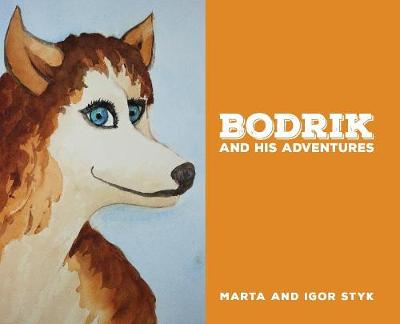 Bodrik and His Adventures (Hardback)