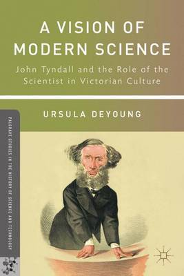 A Vision of Modern Science: John Tyndall and the Role of the Scientist in Victorian Culture - Palgrave Studies in the History of Science and Technology (Hardback)