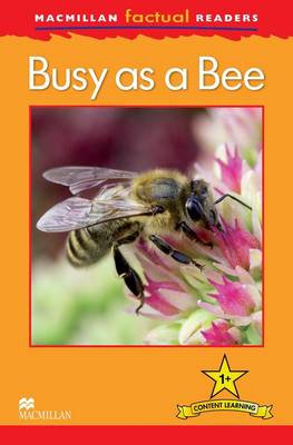 Macmillan Factual Readers - Busy as a Bee - Level 1 (Board book)