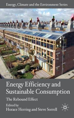 Energy Efficiency and Sustainable Consumption: The Rebound Effect - Energy, Climate and the Environment (Hardback)