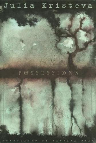 Possessions: A Novel (Hardback)