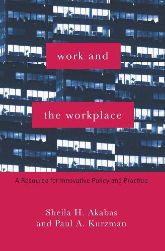 Work and the Workplace: A Resource for Innovative Policy and Practice - Foundations of Social Work Knowledge Series (Paperback)