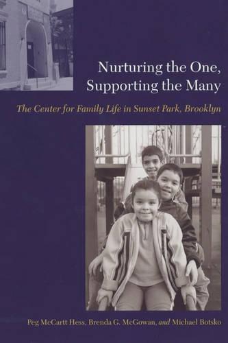 Nurturing the One, Supporting the Many: The Center for Family Life in Sunset Park, Brooklyn (Paperback)