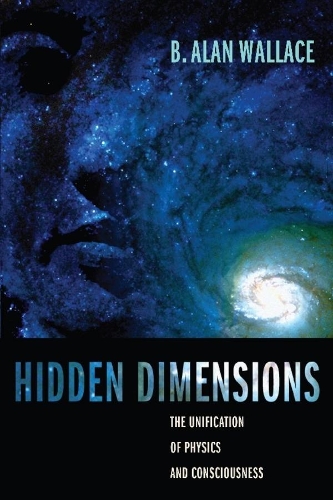Hidden Dimensions: The Unification of Physics and Consciousness - Columbia Series in Science and Religion (Paperback)