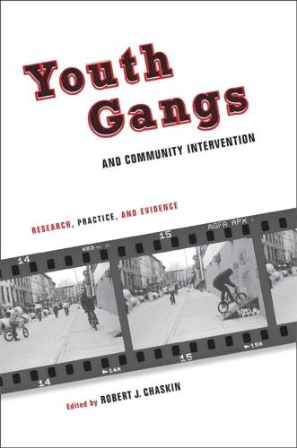 Youth Gangs and Community Intervention: Research, Practice, and Evidence (Hardback)