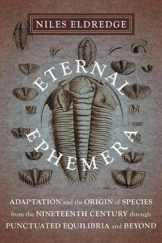 Eternal Ephemera: Adaptation and the Origin of Species from the Nineteenth Century Through Punctuated Equilibria and Beyond (Hardback)