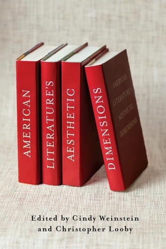 American Literature's Aesthetic Dimensions (Paperback)