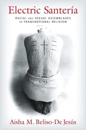 Electric Santeria: Racial and Sexual Assemblages of Transnational Religion - Gender, Theory, and Religion (Hardback)