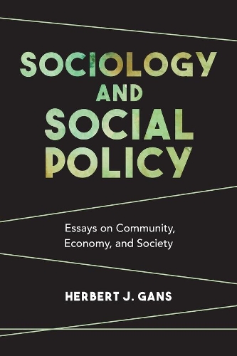 Sociology and Social Policy: Essays on Community, Economy, and Society (Paperback)