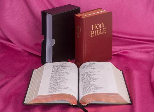 NJB Pocket Edition Red Leather Bible - New Jerusalem Bible (Leather / fine binding)