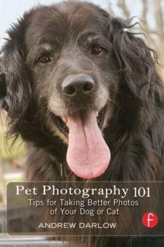 Pet Photography 101: Tips for taking better photos of your dog or cat (Paperback)