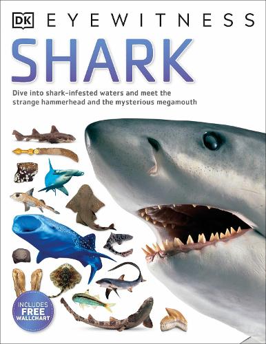 Shark - Eyewitness (Paperback)