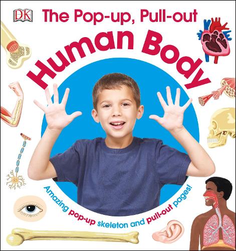 The Pop-up, Pull-out Human Body by DK  Waterstones